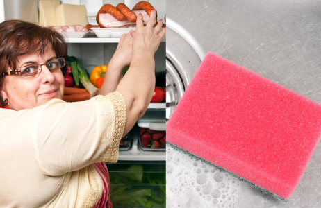 gąbka do naczyń w lodówce