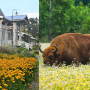 Puszcza Białowieska