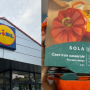 Lidl garnki