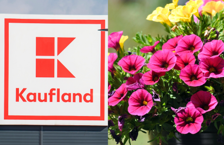 Kaufland