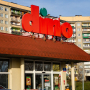 Dino promocje na kwiaty