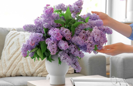 bez lilak domowy trik