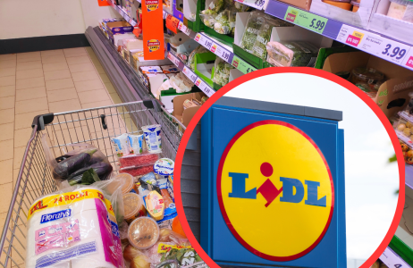 Promocje w Lidlu