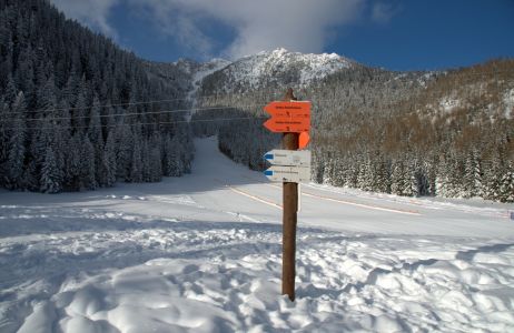Kalatówki