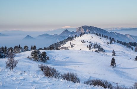 Pieniny