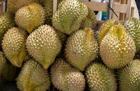 Durian
