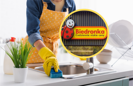 gąbka