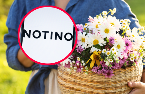 kwiatowe perfumy Notino