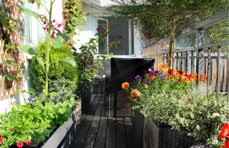 kwiecisty balkon