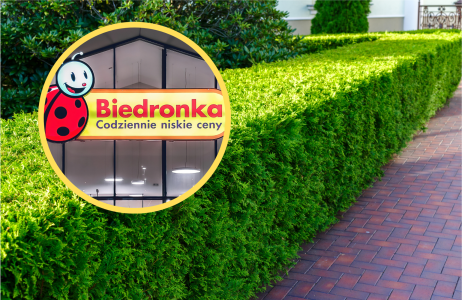 Biedronka