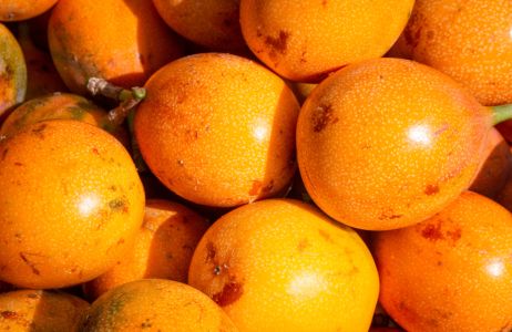 Granadilla