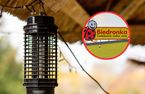 lampa owadobójcza