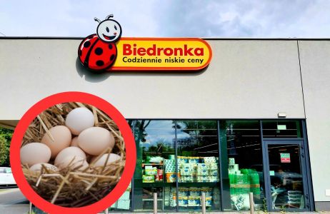 promocja na jajka z Biedronki