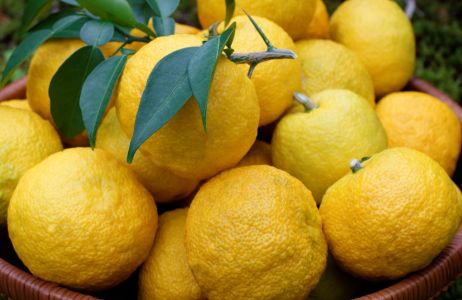yuzu