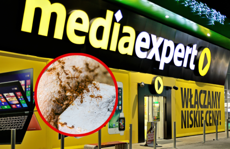 media expert