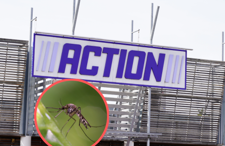Action komary