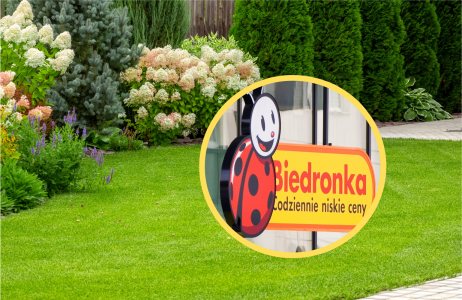 Biedronka
