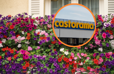 castorama