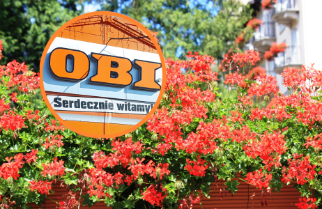 obi