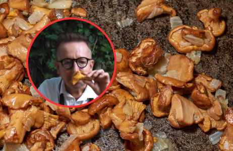 smażenie kurek