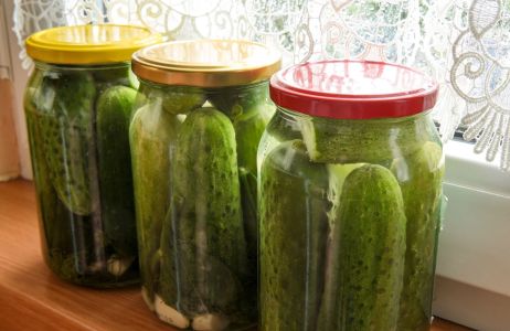 ogórki kiszone