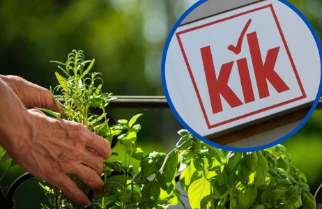 doniczki do ziół z KIK