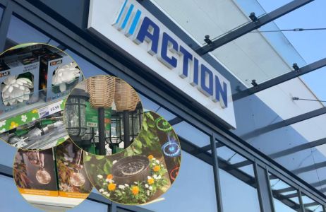 Action