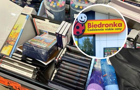 biedronka plastyczne