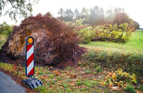 Wichury nad Polską