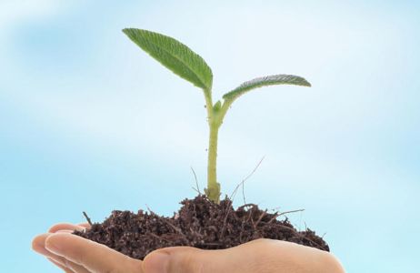zero-waste-537605-4_3_800