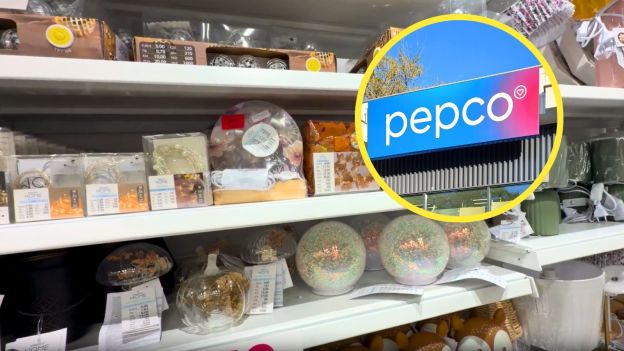 pepco grzybki
