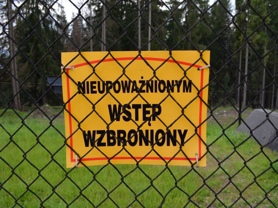 Grzybiarze przechodzą samych siebie. Leśnicy donoszą o aktach wandalizmu