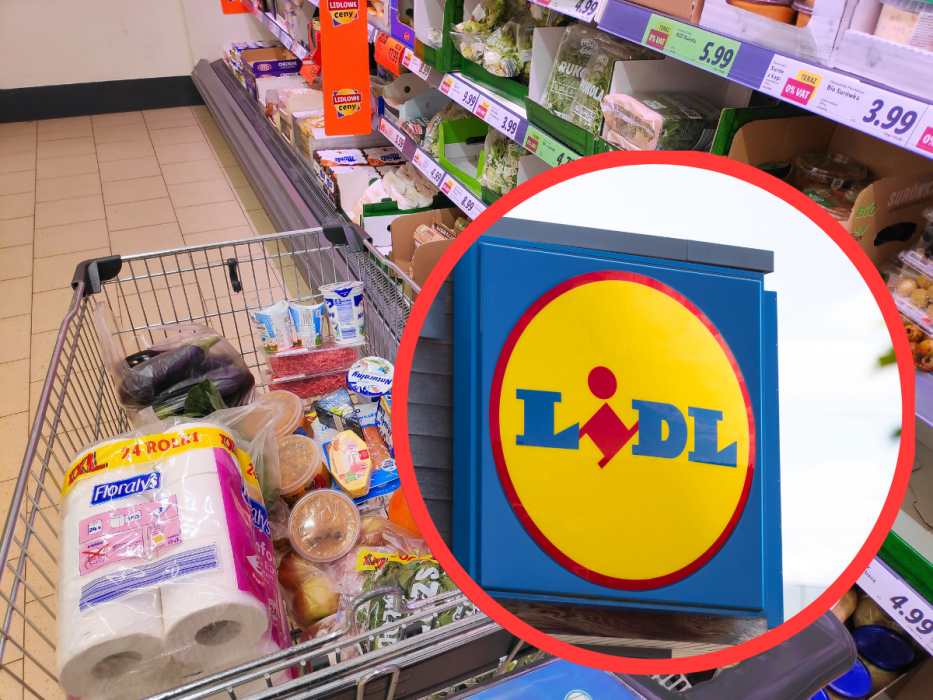 Promocje w Lidlu