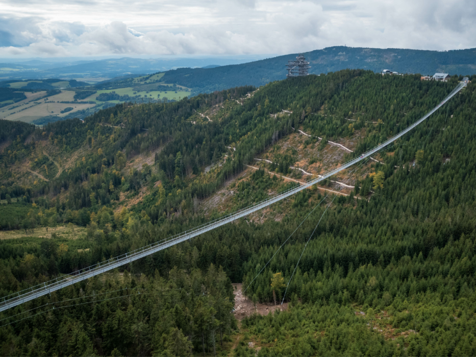 Sky Bridge 721