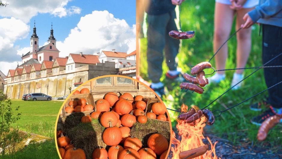 farma dyniowa