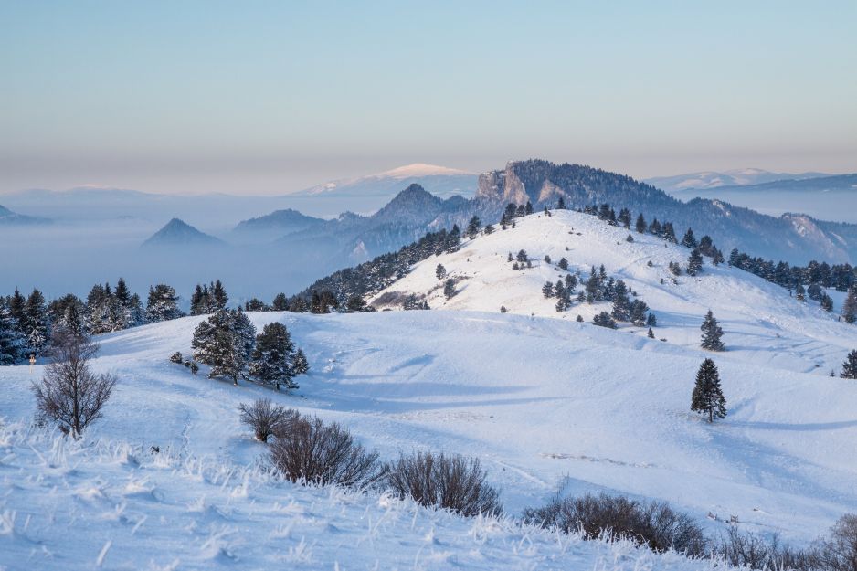 Pieniny