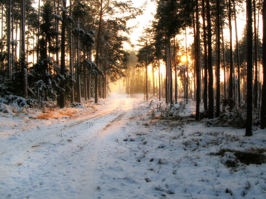Mazury