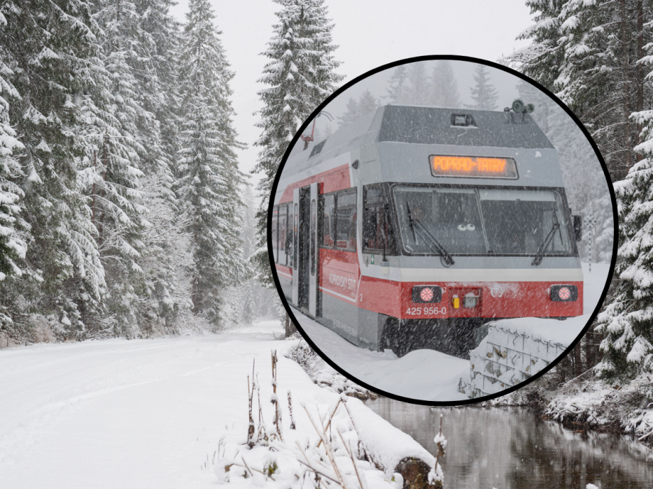 Beliansky Express