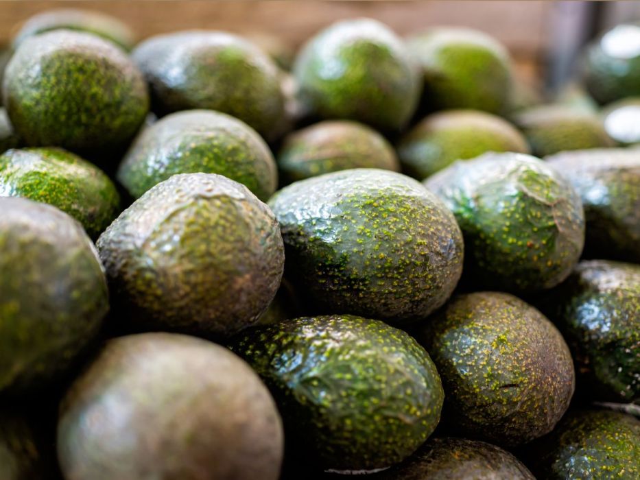 „avocadon't"