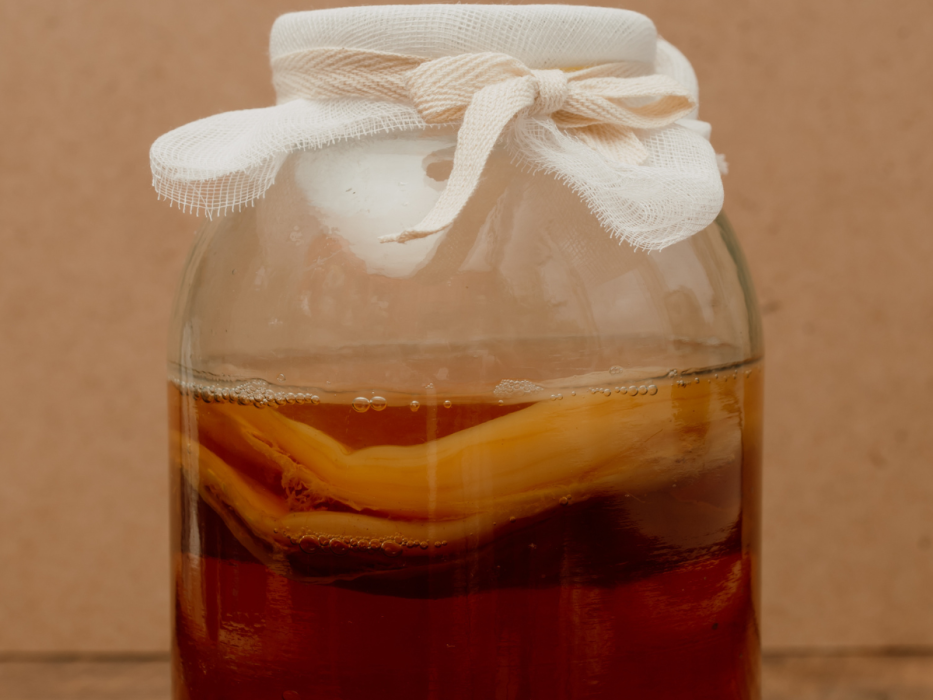 kombucha