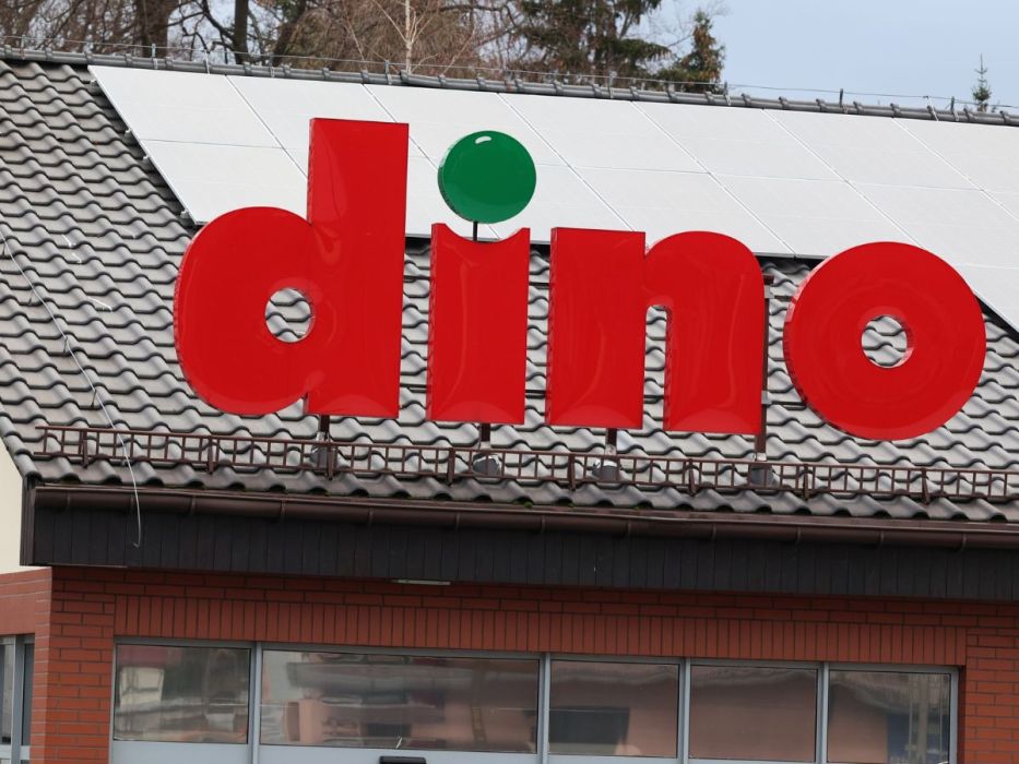 Promocja w dino