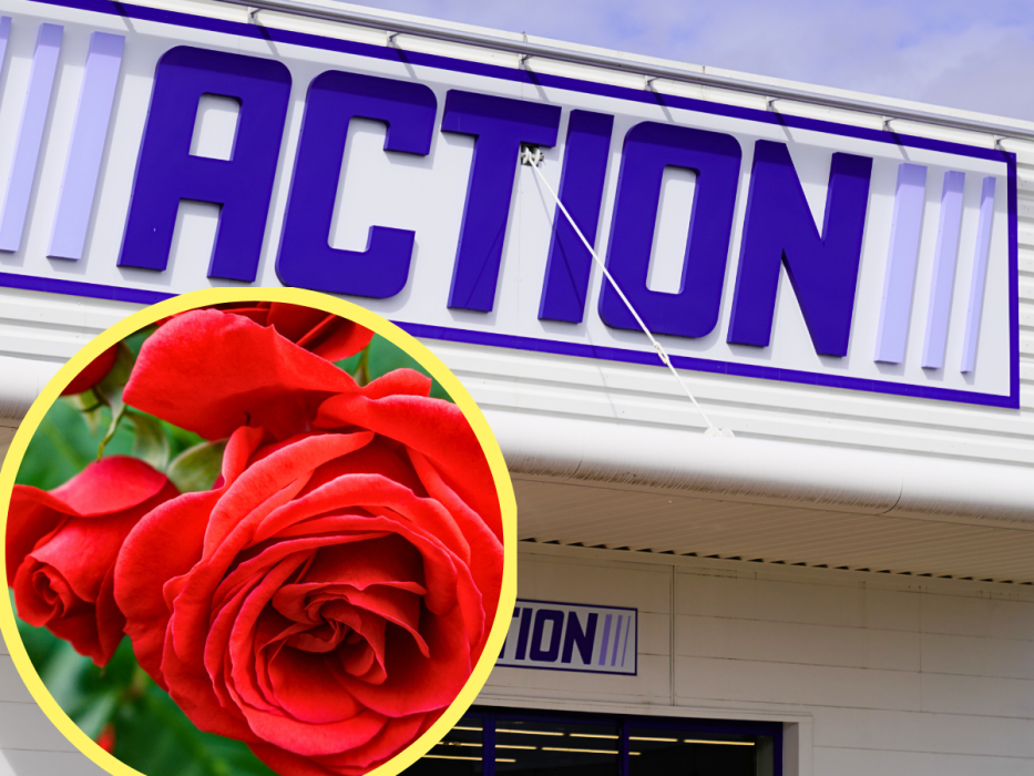 action