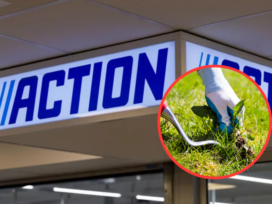 Action