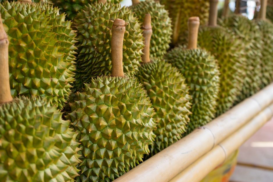 durian