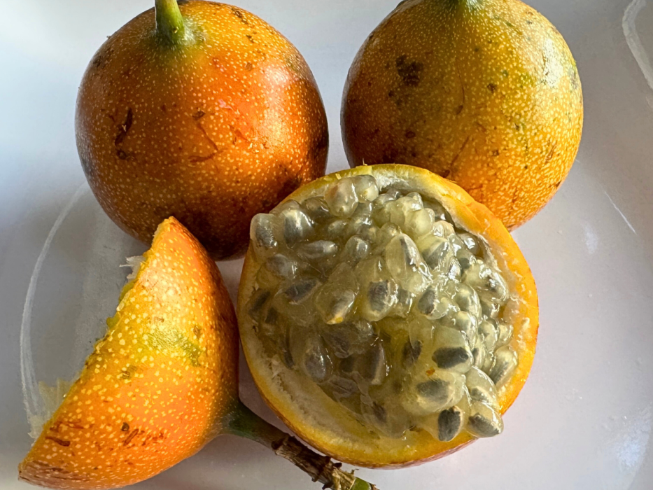 granadilla