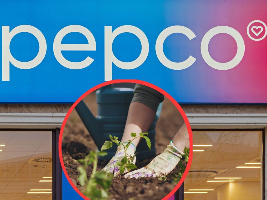 rękawiczki z Pepco