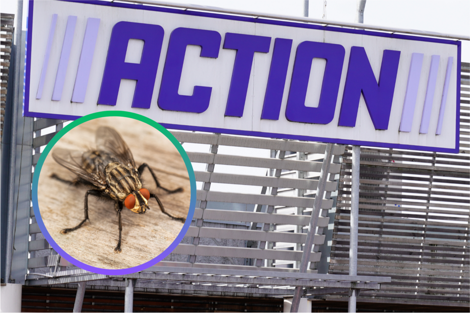 Action
