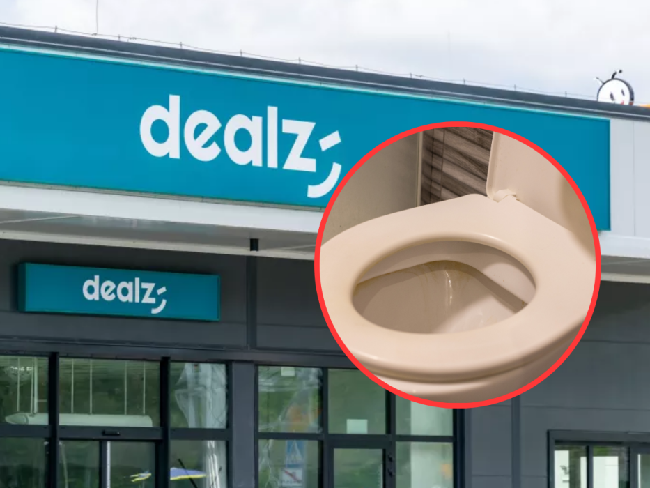środek do czyszczenia toalet z Dealz