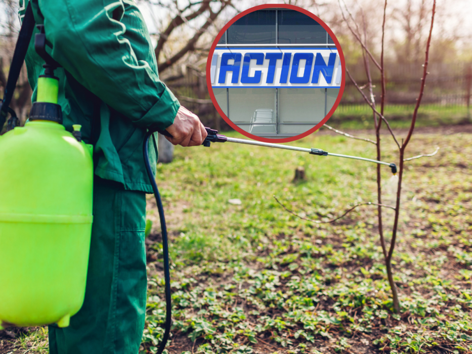 action