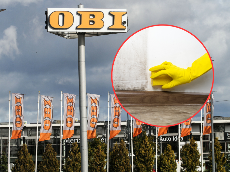 gąbki do mycia ścian z OBI
